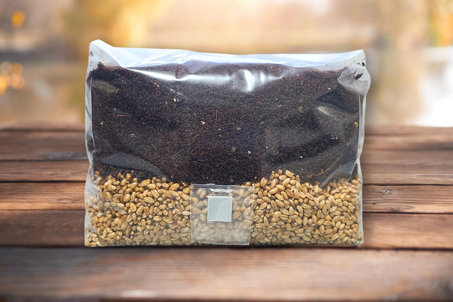 5 LB Sterile Mushroom Grow Bag - All in One Grow Kit - MAGIC!!