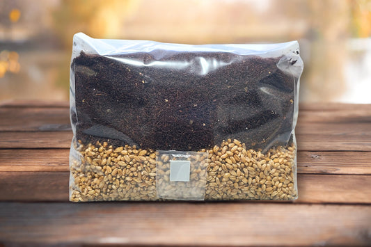 5 LB Sterile Mushroom Grow Bag - All in One Grow Kit - MAGIC!!