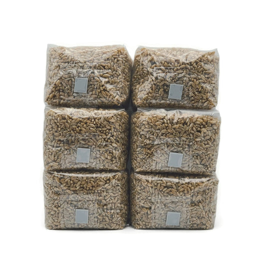 Sterilized Rye Grain Bags: Organic Mushroom Substrate with Self-Healing Injection Port