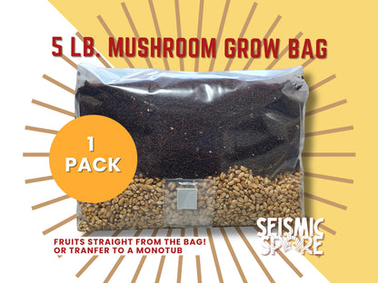 5 LB Sterile Mushroom Grow Bag - All in One Grow Kit - MAGIC!!