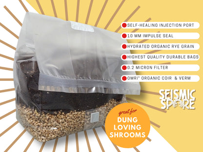 5 LB Sterile Mushroom Grow Bag - All in One Grow Kit - MAGIC!!